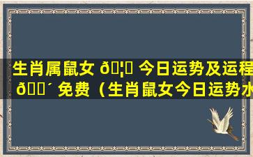生肖属鼠女 🦊 今日运势及运程 🐴 免费（生肖鼠女今日运势水墨先生）